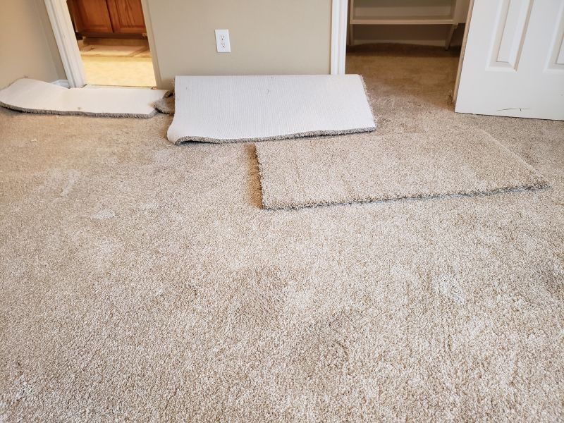 Carpet Seam Repair in Littleton, CO